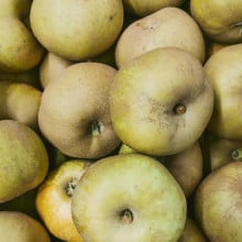 Pommes Canada grises