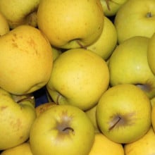 Pommes Golden Pommes Golden