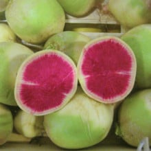 Radis red meat