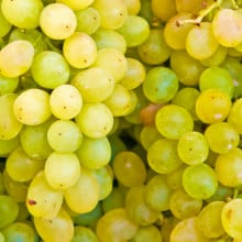 Raisin blanc
