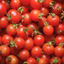 Tomates cerises rondes rouges