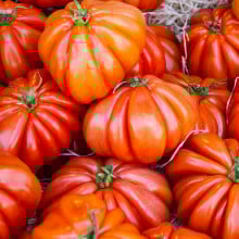 Tomates marmande