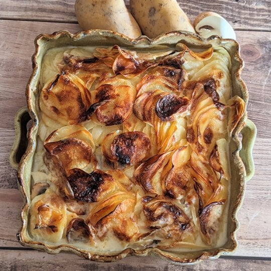 Gratin dauphinois aux champignons de Paris Gratin dauphinois aux champignons de Paris