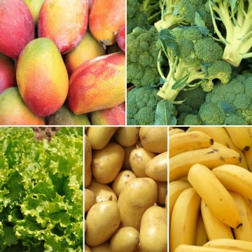 Panier disponible à l’abonnement