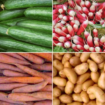 Panier disponible à l’abonnement