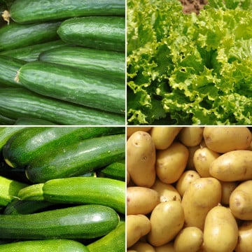 Panier disponible à l'abonnement