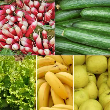 Panier disponible à l'abonnement