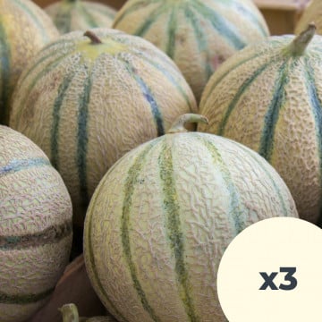 3 melons 3 melons