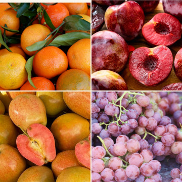 Panier de fruits de saison