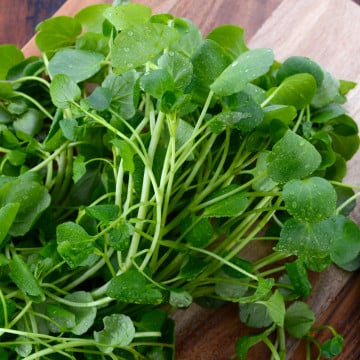 solo cresson solo cresson