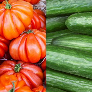 Concombre & tomates Marmandes