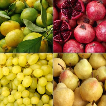 Panier de fruits de saison