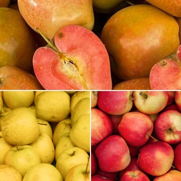 Trio de pommes