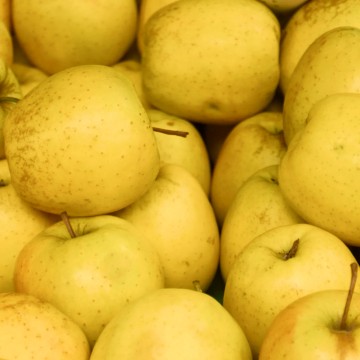Pommes Chanteclerc