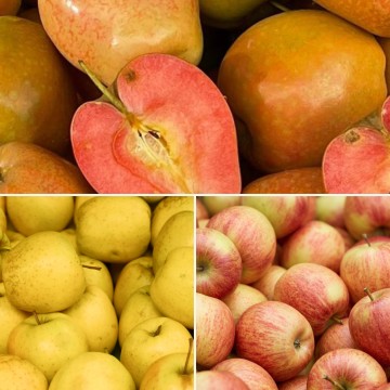 Trio de pommes