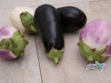 Aubergines