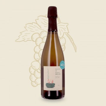 Brut pétillant Domaine de la Croix Mélier