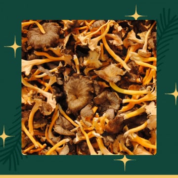 Chanterelles