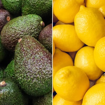 Avocat et citron Avocat et citron