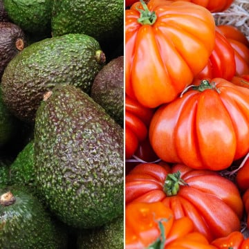 Avocats et tomate marmande