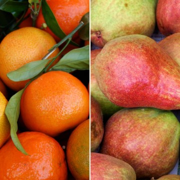 Clémentines & poires Grafin