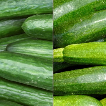 Concombres et courgettes