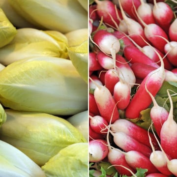 Endives & Radis