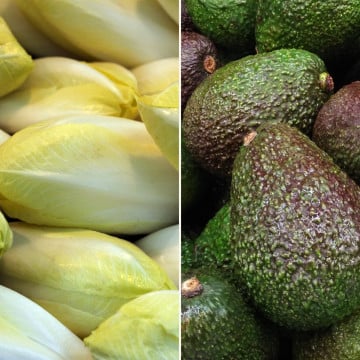 Endives et avocats