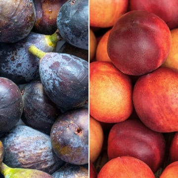 Figues et nectarines