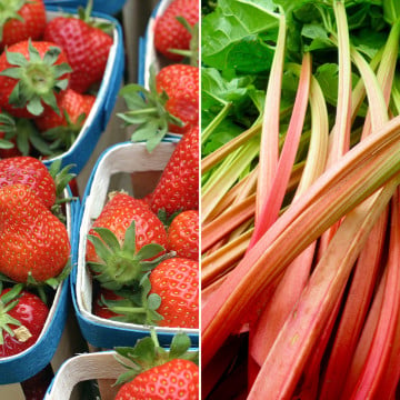 Barquette de fraises et rhubarbe