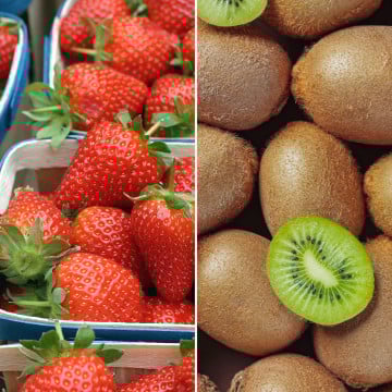 Fraises et kiwis verts