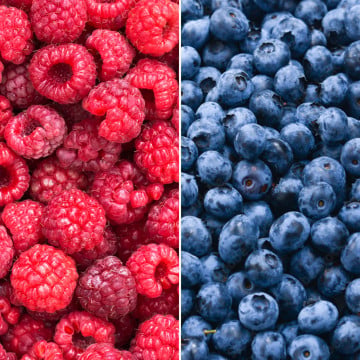 Framboises et myrtilles