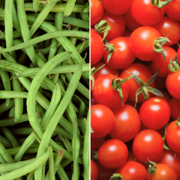 Haricots verts et tomates cerises rouges