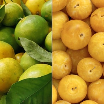 Mandarines Satsuma & Prunes TC Sun