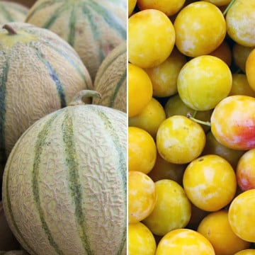 Melon et prunes mirabelles