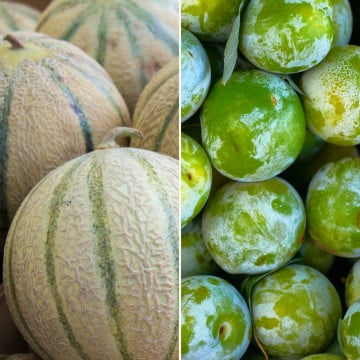 Melon et prunes Reine Claude