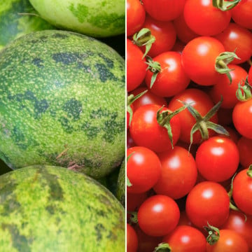 Mini pastèque et tomates cerises