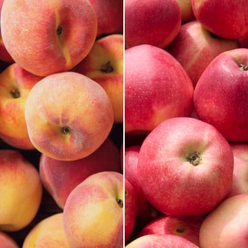 Pêches blanches et pommes Cripps Pink