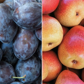 Prunes bleues & poires Williams rouges