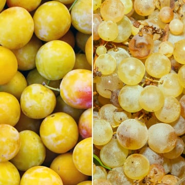 Prunes mirabelle et raisin chasselas