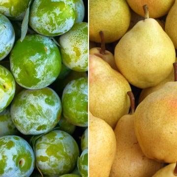 Prunes Reine Claude et poires Guyot