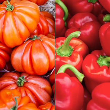 Tomates marmande et poivrons rouges