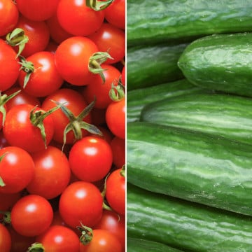 Tomates cerises rouges et concombres