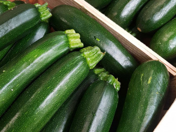 Courgettes vertes
