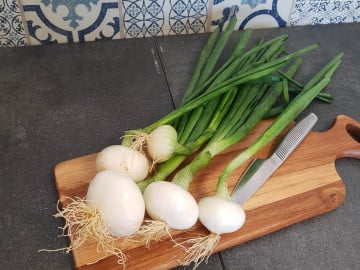 Oignons nouveaux blancs