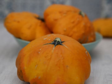 Pâtisson