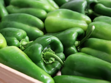 Poivron vert