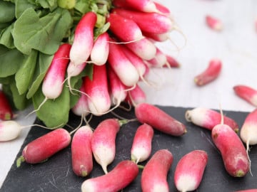 Radis roses