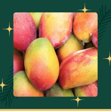 Mangue Mangue