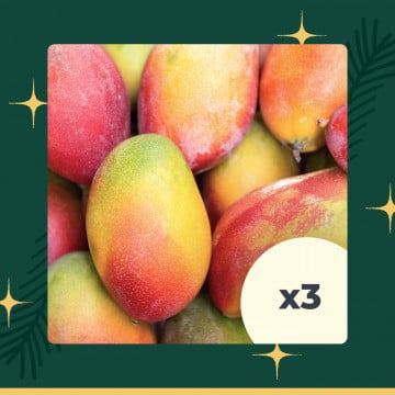 Lot de 3 mangues